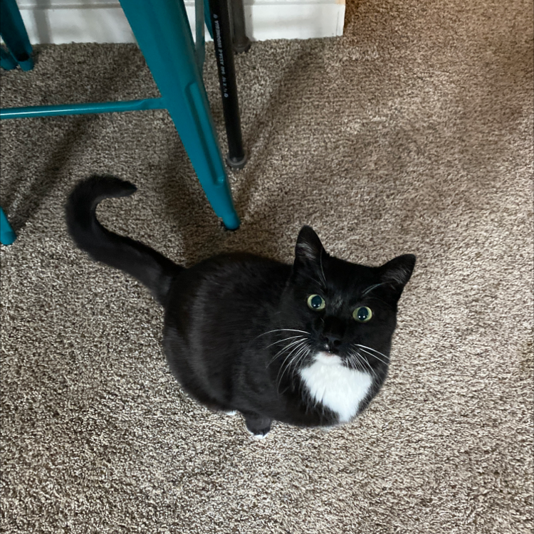 Baxter